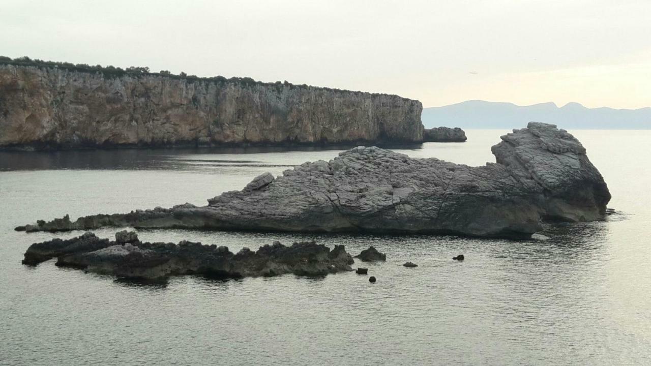 泰拉西尼Alma Nua住宿加早餐旅馆 外观 照片